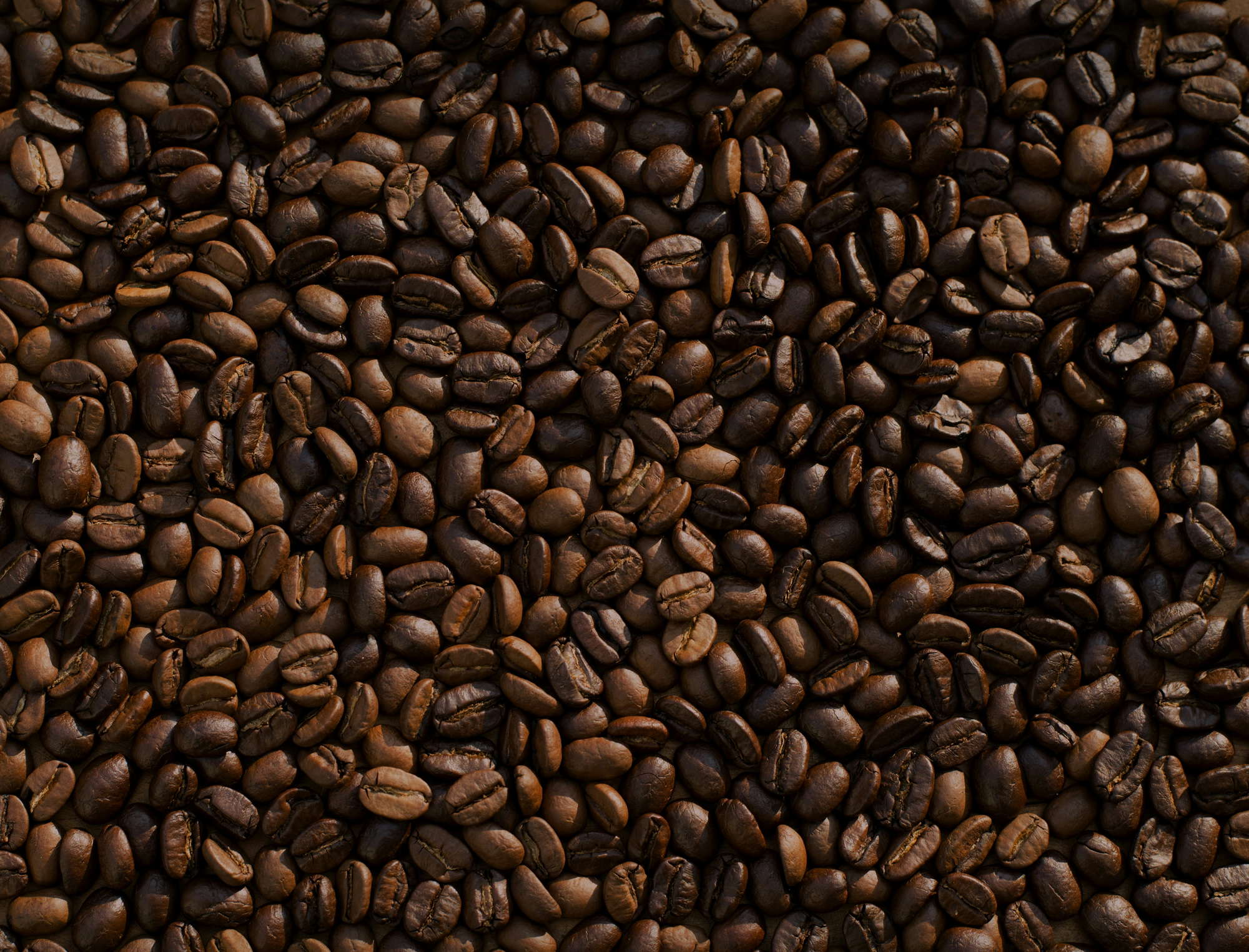 Bloom Coffee case study cover