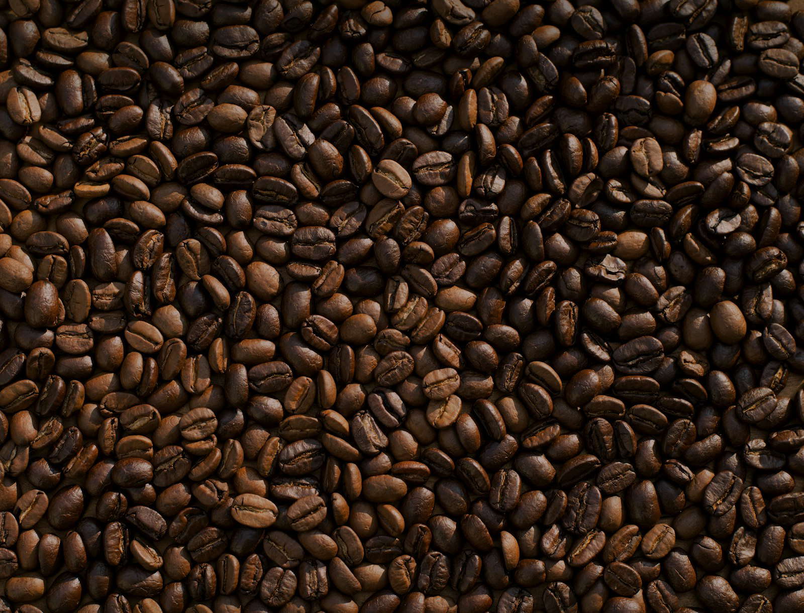 Bloom Coffee
