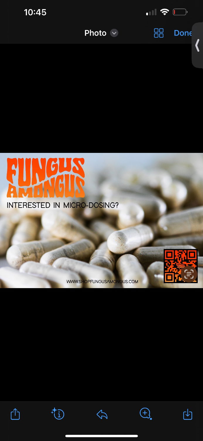 Shop Fungus Amongus